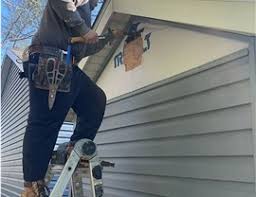 Best Siding Painting and Refinishing  in Elm City, NC